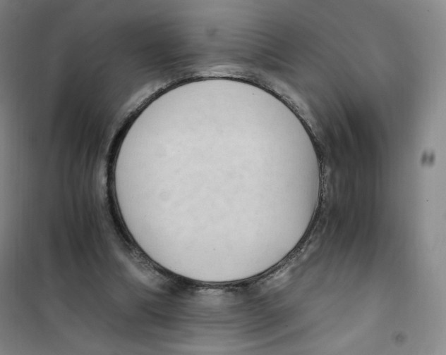 X0000101110298200807241142