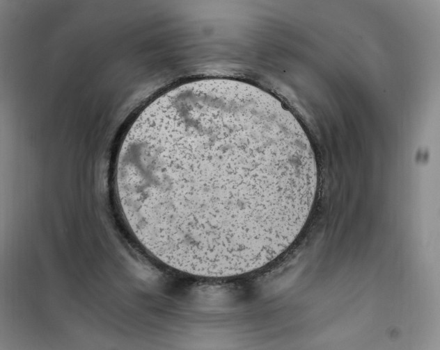 X0000101110299200807241142