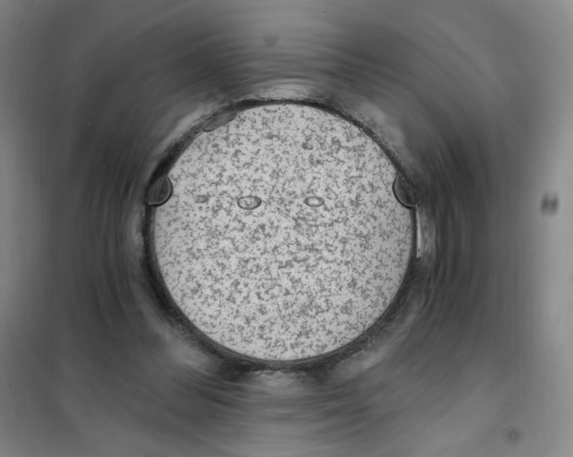 X0000101110300200807241142