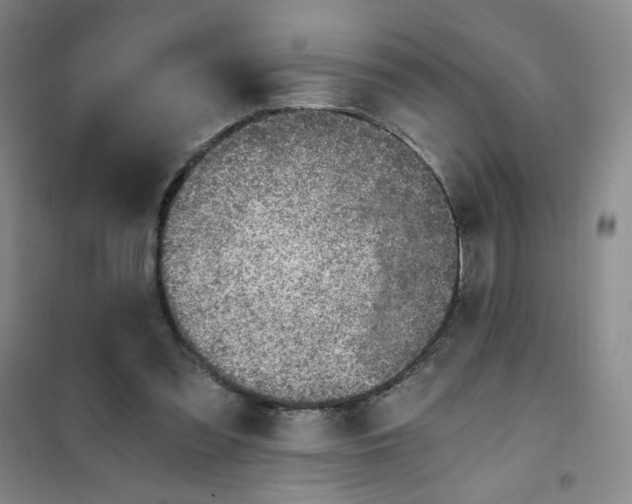 X0000101110301200807241142