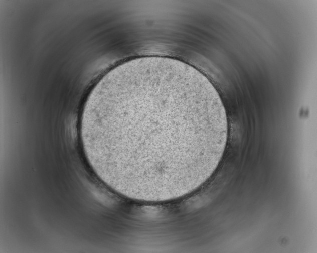 X0000101110302200807241142