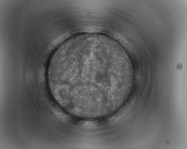 X0000101110303200807241142