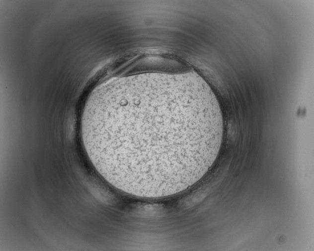 X0000101110304200807241142