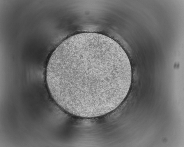 X0000101110305200807241142