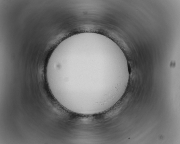 X0000101110306200807241142