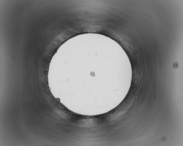 X0000101110307200807241142