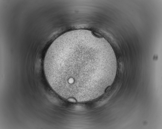 X0000101110308200807241142
