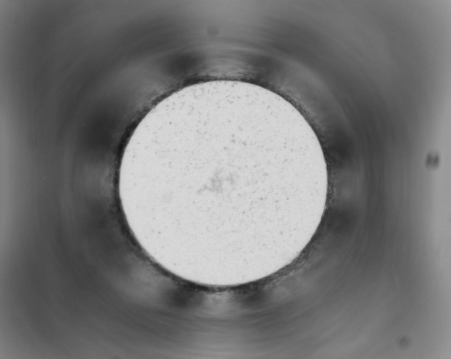 X0000101110309200807241141