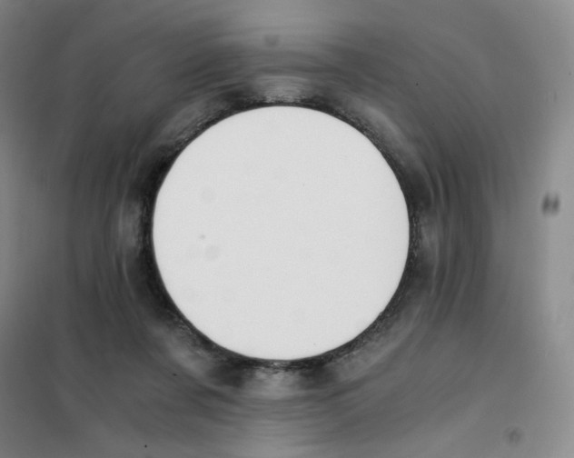 X0000101110311200807241141