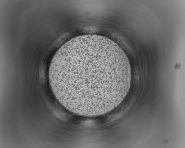 X0000101110312200807241141