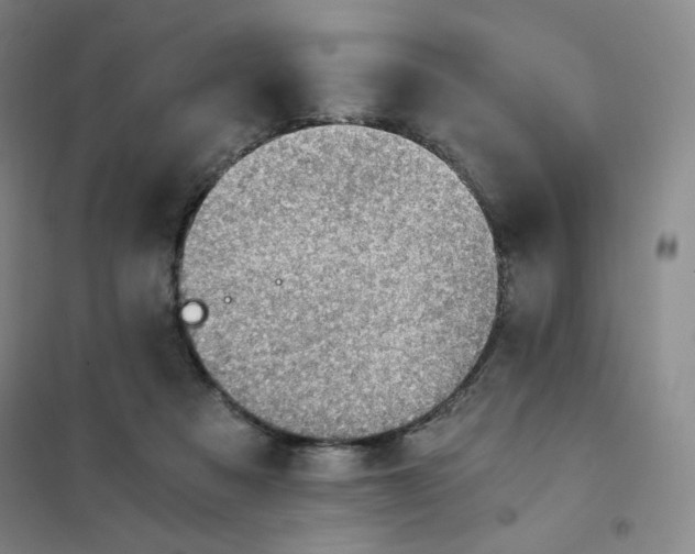 X0000101110313200807241141