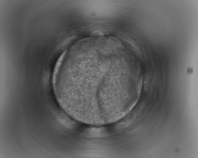 X0000101110314200807241141