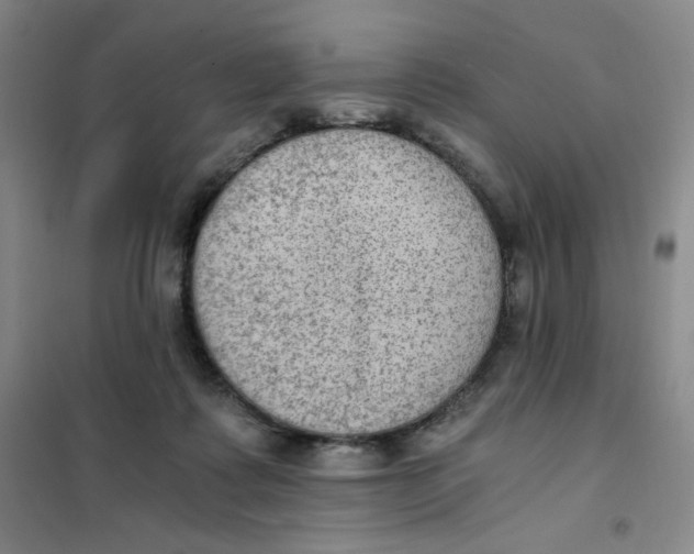X0000101110315200807241141