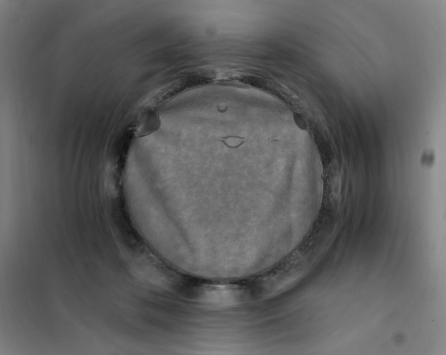 X0000101110316200807241141