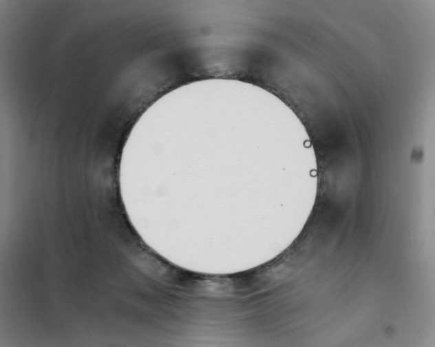 X0000101110317200807241141
