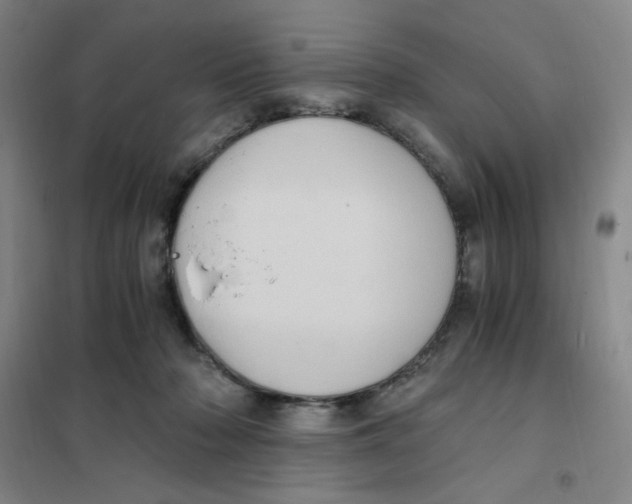 X0000101110318200807241141