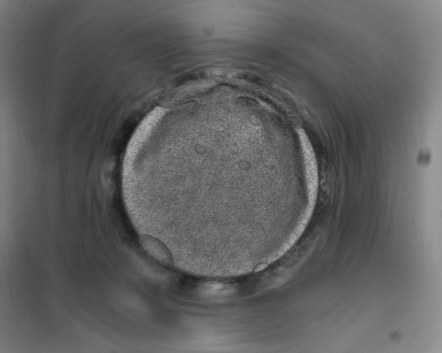 X0000101110319200807241141