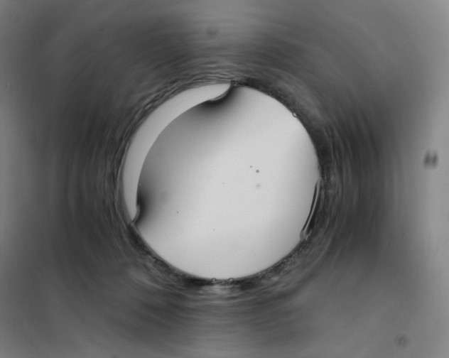 X0000101110320200807241141