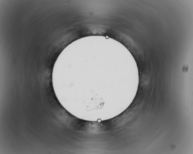 X0000101110321200807241141