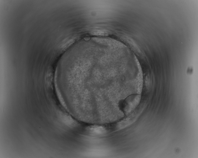 X0000101110322200807241141