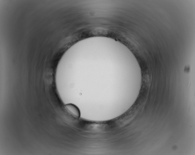 X0000101110323200807241141