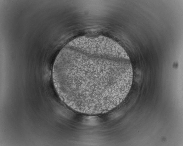 X0000101110324200807241141
