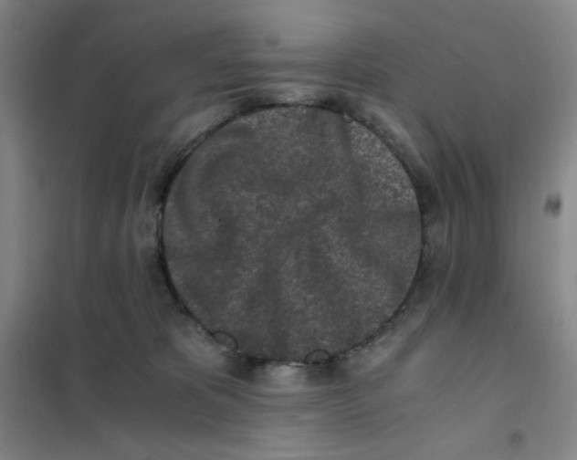 X0000101110325200807241141