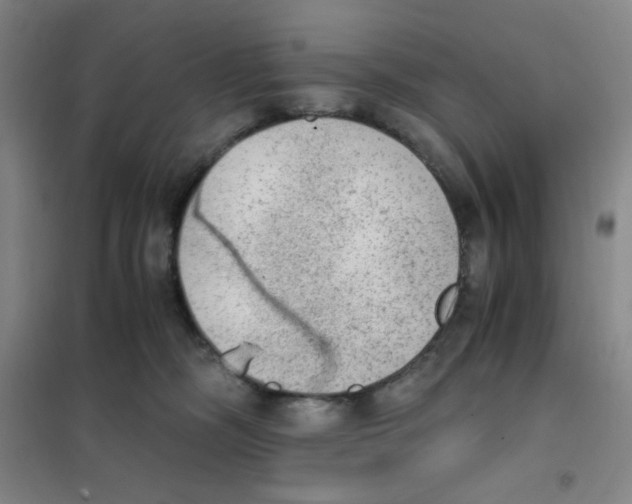 X0000101110326200807241141