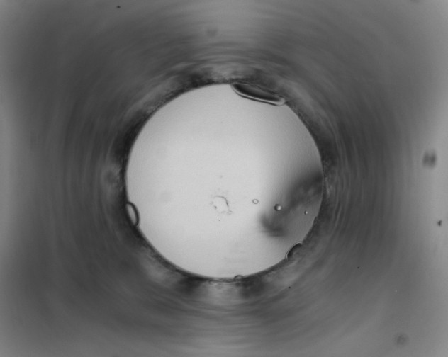 X0000101110327200807241141