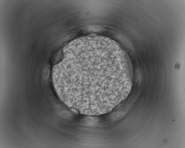 X0000101110328200807241141