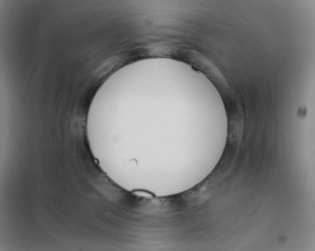 X0000101110329200807241141