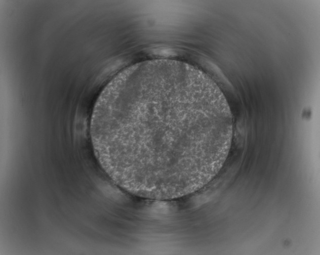 X0000101110330200807241141