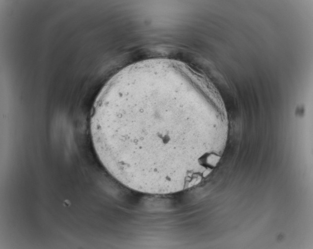 X0000101110331200807241141
