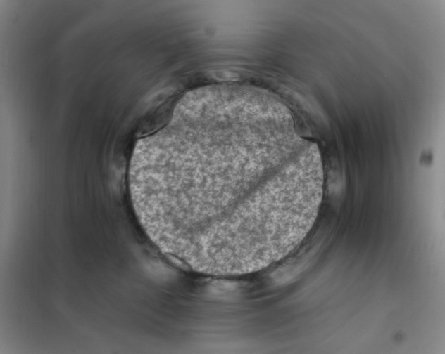 X0000101110332200807241141