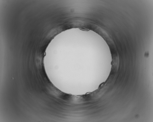 X0000101110333200807241141