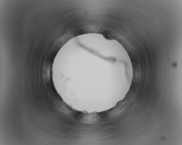 X0000101110334200807241141