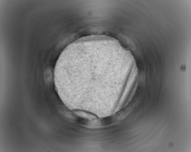 X0000101110335200807241141
