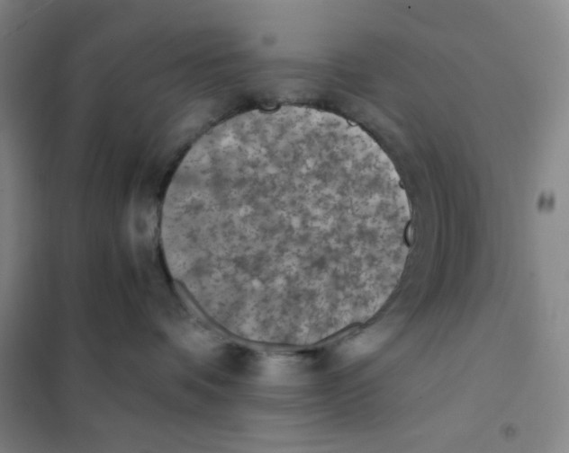 X0000101110336200807241141