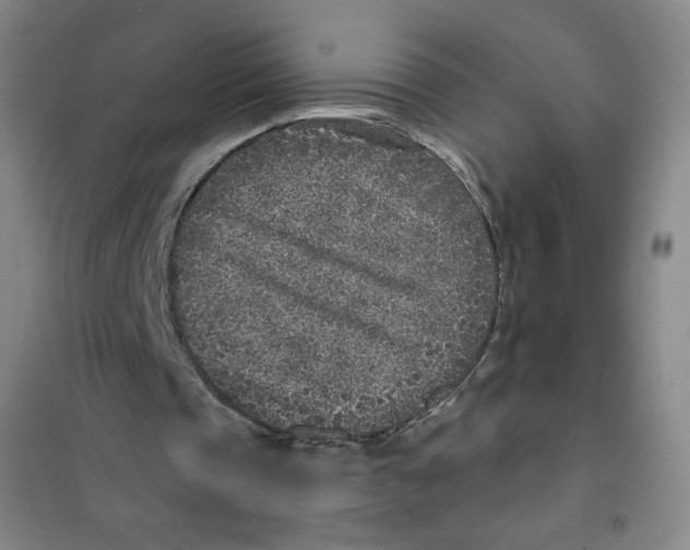 X0000101110337200807241140
