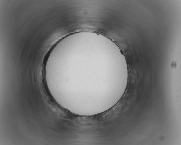 X0000101110338200807241140