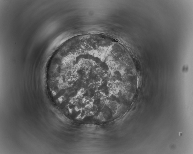 X0000101110339200807241140