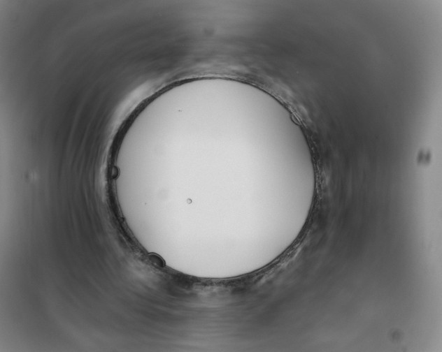 X0000101110340200807241140