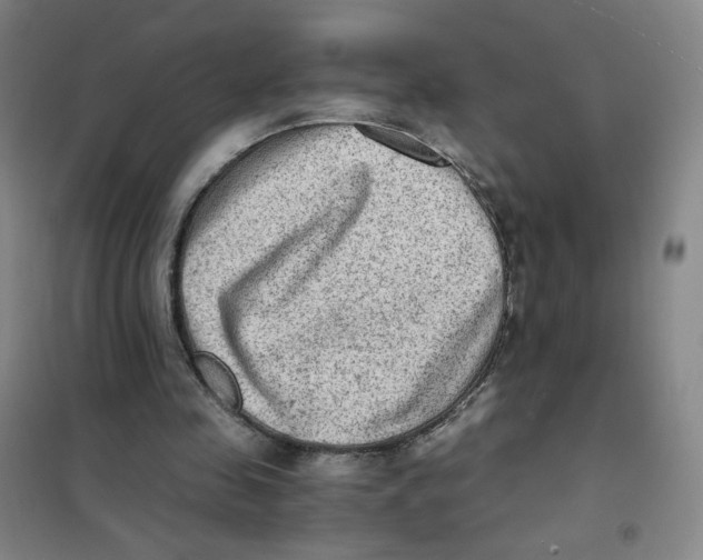 X0000101110341200807241141