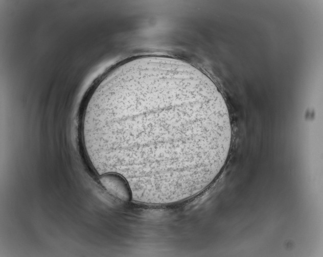 X0000101110342200807241141