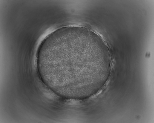 X0000101110343200807241141