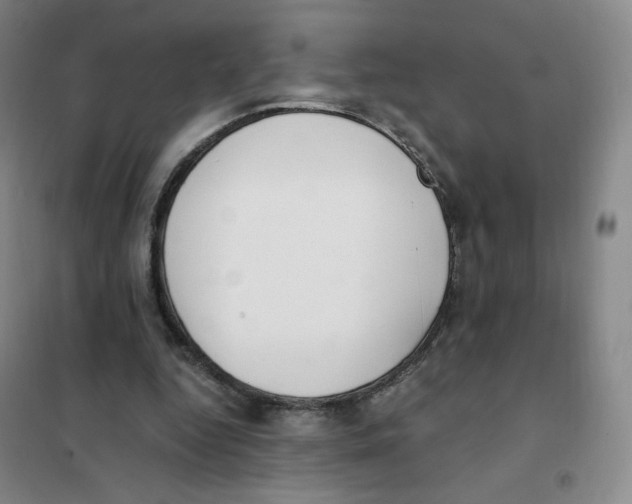 X0000101110344200807241141