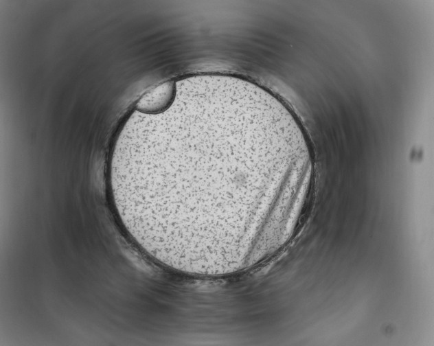 X0000101110345200807241141