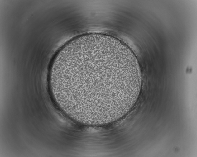 X0000101110346200807241141