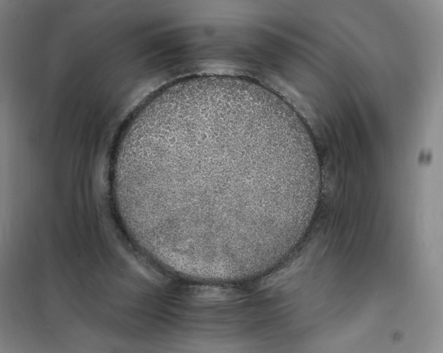 X0000101110347200807241141