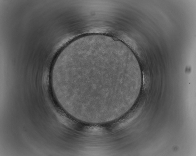 X0000101110348200807241141